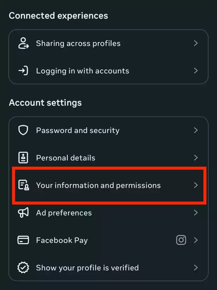 Instagram Your Information and Permissions section